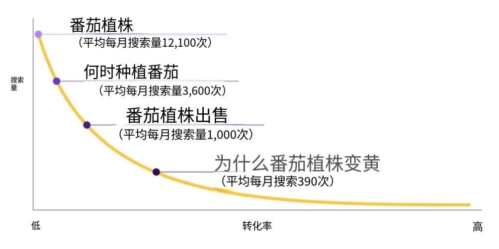 长尾关键词转化策略